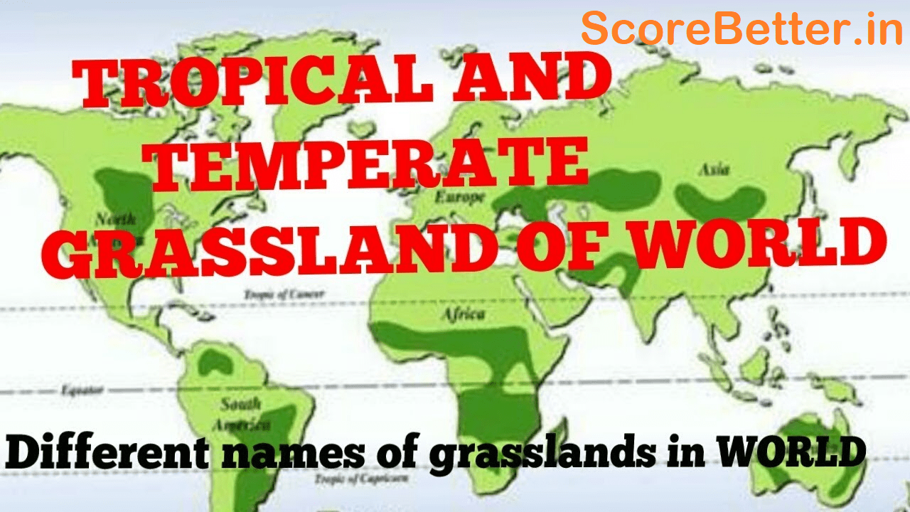grassland of world